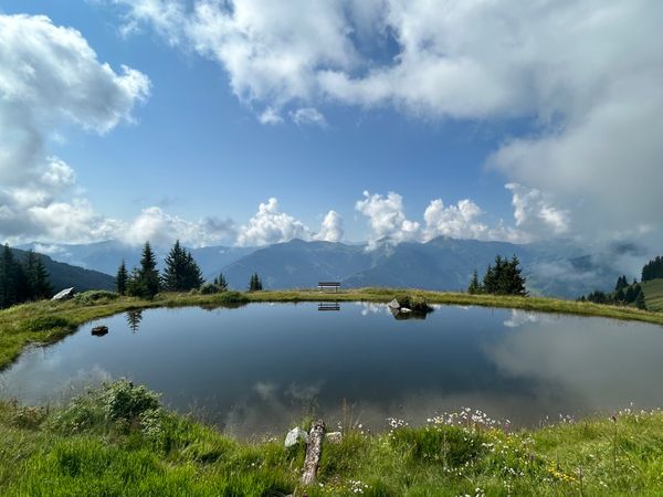 Bergsee auf der Alm im Sommer
