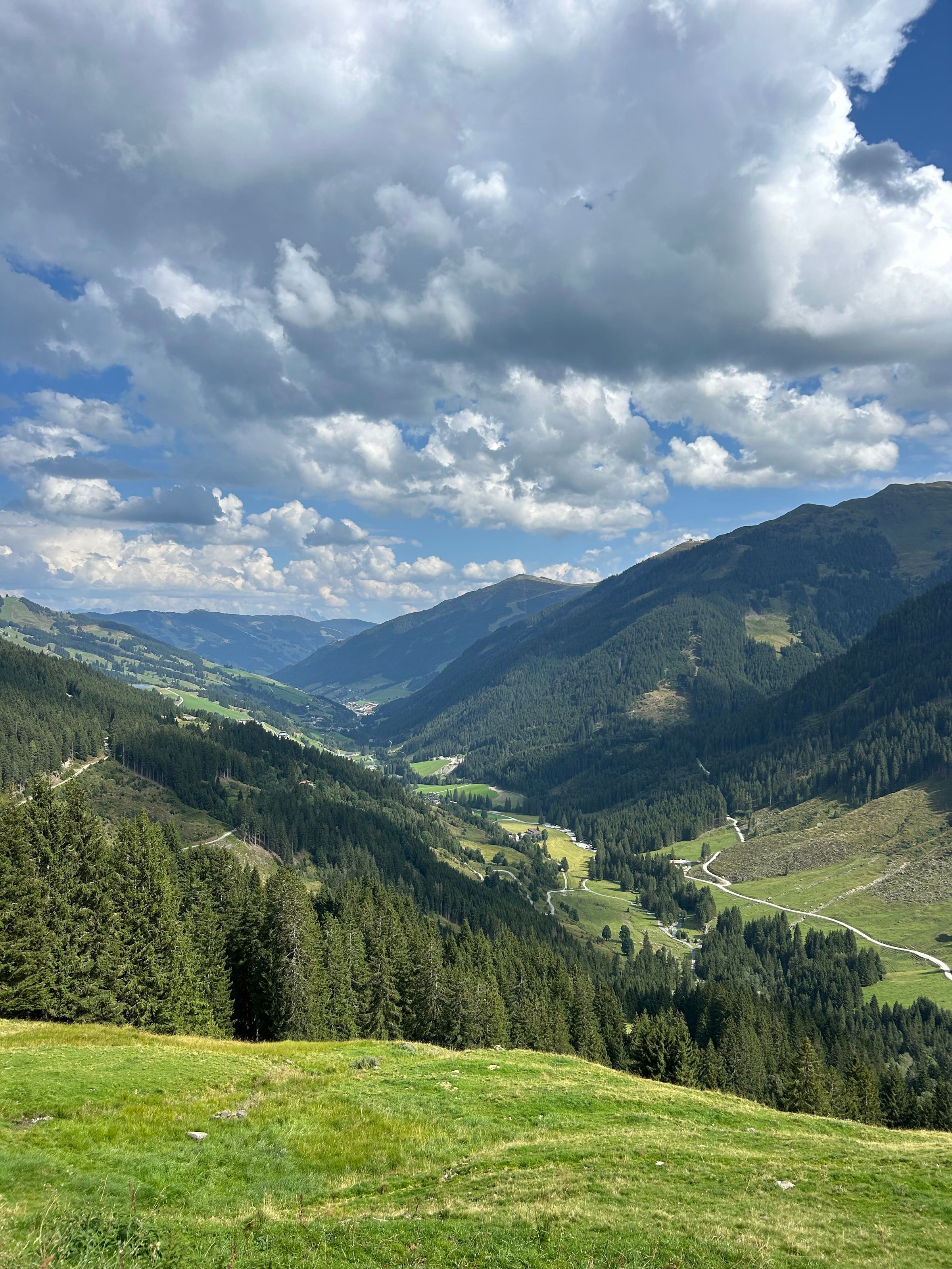Blick ins grüne Glemmtal im Sommer